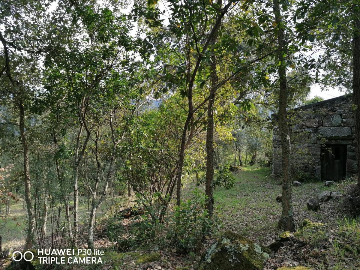 Casa Douro Terrace Villa Baião Kültér fotó