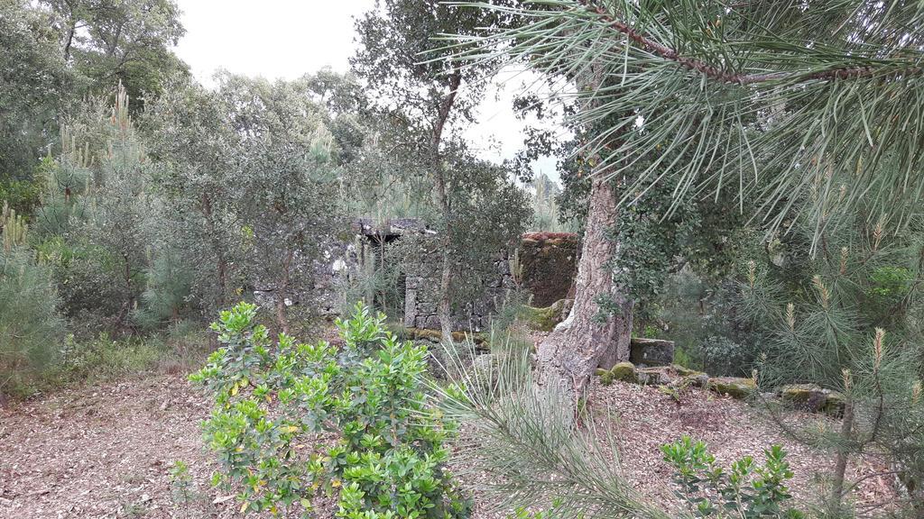 Casa Douro Terrace Villa Baião Kültér fotó